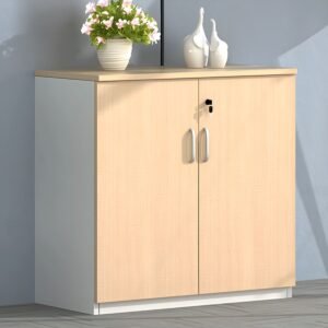 2 Door Wooden Credenza Cabinet